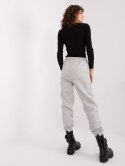 Spodnie dresowe D10047O62214B2