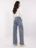 Spodnie jeans NM-SP-T360.66P