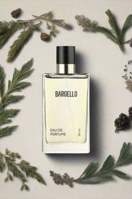 Perfumy męskie 751 o drzewnym zapachu z cedrem i bergamotką 50 ml